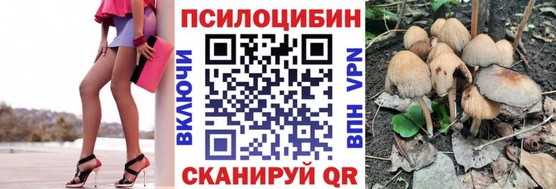 Псилоцибиновые грибы мицелий  Новодвинск 