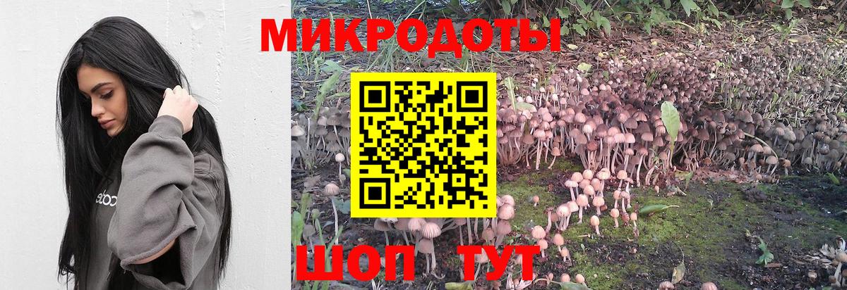 Новодвинск  Галлюциногенные грибы Psilocybine cubensis  Псилоцибиновые грибы мицелий  где купить наркотик  Вход с VPN 