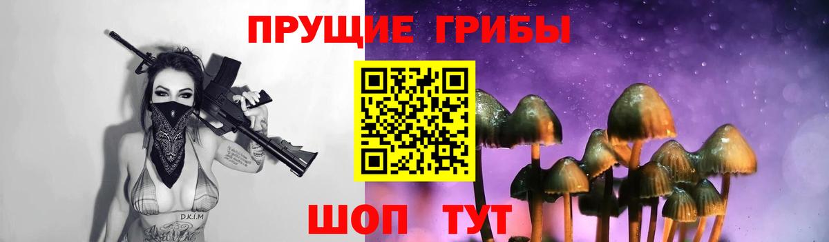 Псилоцибиновые грибы прущие грибы Новодвинск